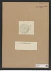 Coscinodiscus velatus Ehr. (de-Toni-Nr.: Genus 202, Species 4965) Zeichnungen Sammlung Grunow Nr. 8556 (NHMW-BOT-W0378197)